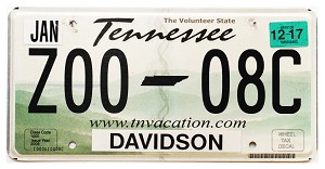 2017 Tennessee License Plate #Z0008C