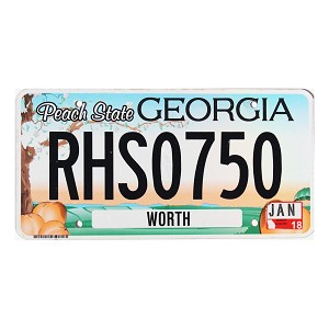 2018 Georgia License Plate #RHS0750