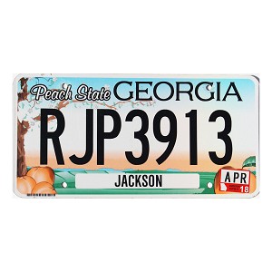 2018 Georgia License Plate #RJP3913