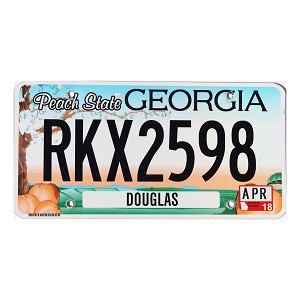 2018 Georgia License Plate #RKX2598
