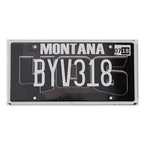2018 Montana 406 License Plate #BYV318