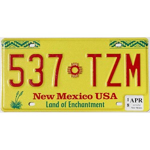 2018 New Mexico License Plate #537TZM