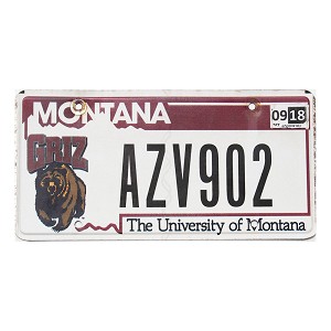 2018 University Of Montana License Plate #AZV902