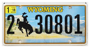 2018 Wyoming License Plate #230801