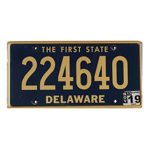 2019 Delaware License Plate #224640