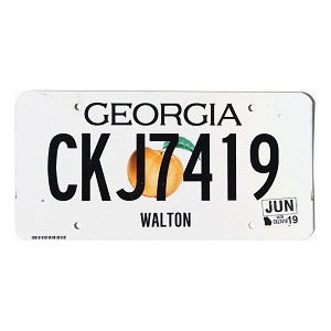 2019 Georgia License Plate #CKJ7419