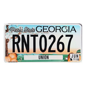 2019 Georgia License Plate #RNT0267