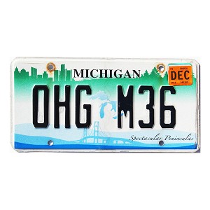 2019 Michigan Spectacular Peninsulas License Plate #0HGM36