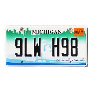 2019 Michigan Spectacular Peninsulas License Plate #9LWH98