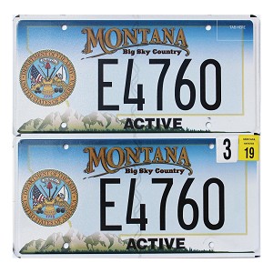 2019 Montana Active Army License Plates Pair #E4760