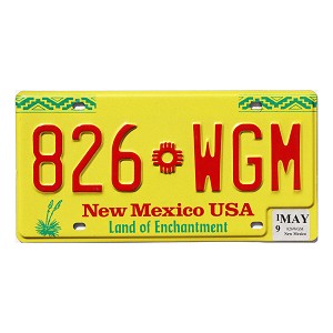 2019 New Mexico License Plate #826WGM