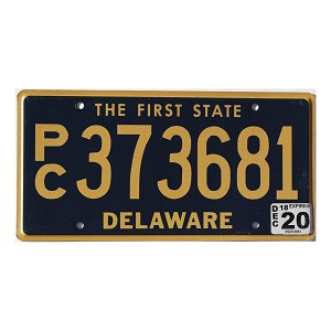 2020 Delaware PC License Plate #373681
