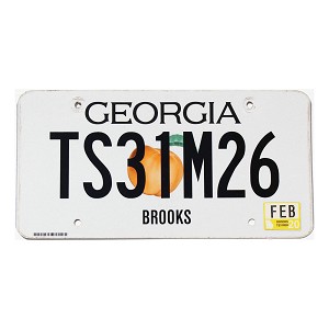 2020 Georgia Trailer License Plate #TS31M26