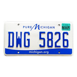 2020 Michigan License Plate #DWG5826