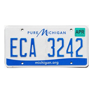 2020 Michigan License Plate #ECA3242