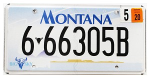 2020 Montana License Plate #666305B