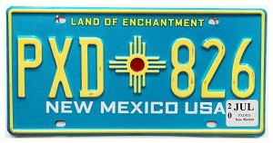 2020 New Mexico License Plate #PXD826
