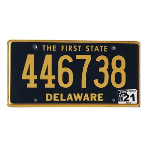 2021 Delaware License Plate #446738