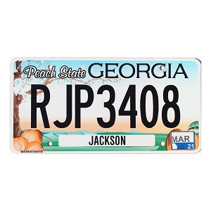 2021 Georgia License Plate #RJP3408