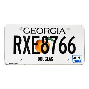 2021 Georgia License Plate #RXE8766