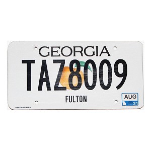 2021 Georgia License Plate #TAZ8009