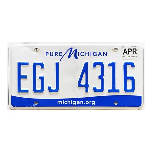 2021 Michigan License Plate #EGJ4316