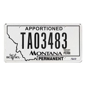 2021 Montana Apportioned License Plate #TA03483