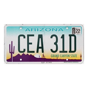 2022 Arizona License Plate #CEA31D