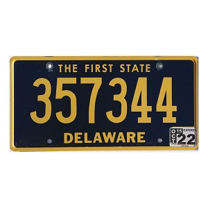 2022 Delaware License Plate #357344