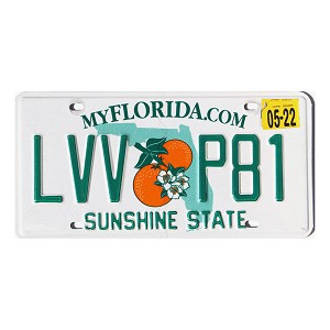 2022 Florida License Plate #LVVP81