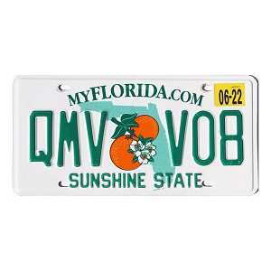 2022 Florida License Plate #QMVV08