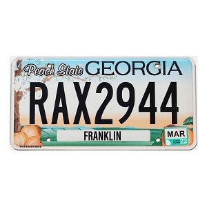 2022 Georgia License Plate #RAX2944