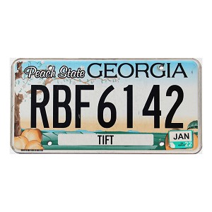2022 Georgia License Plate #RBF6142