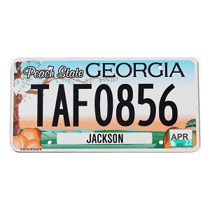 2022 Georgia License Plate #TAF0856