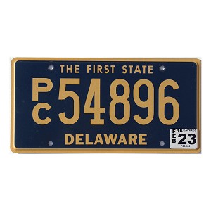 2023 Delaware PC License Plate #54896