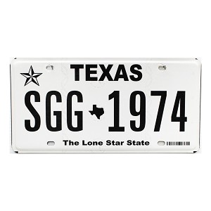 2023 Texas License Plate #SGG1974