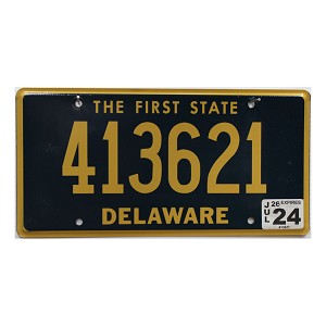 2024 Delaware License Plate #413621