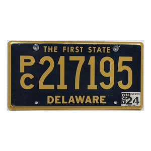 2024 Delaware PC License Plate #217195