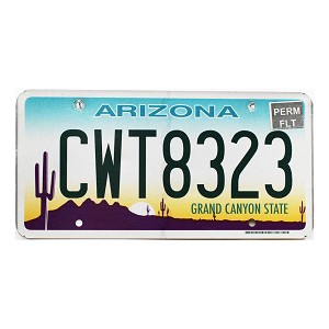 2025 Arizona Fleet License Plate #CWT8323