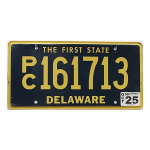 2025 Delaware PC License Plate #161713