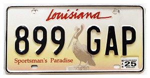 2025 Louisiana Pelican License Plate #899GAP