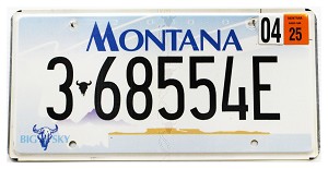 2025 Montana License Plate #368554E