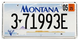 2025 Montana License Plate #371993E