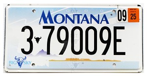 2025 Montana License Plate #379009E