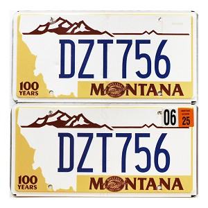 2025 Montana Centennial License Plates Pair #DZT756
