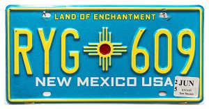 2025 New Mexico License Plate #RYG609