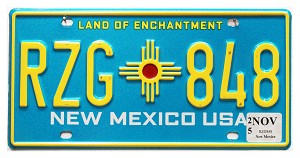 2025 New Mexico License Plate #RZG848