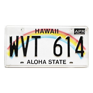 2026 Hawaii License Plate #WVT614