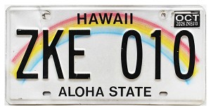 2026 Hawaii License Plate #ZKE010