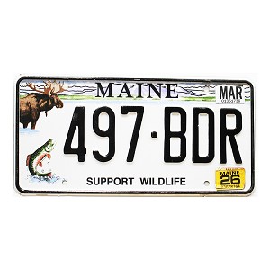 2026 Maine Wildlife License Plate #497BDR
